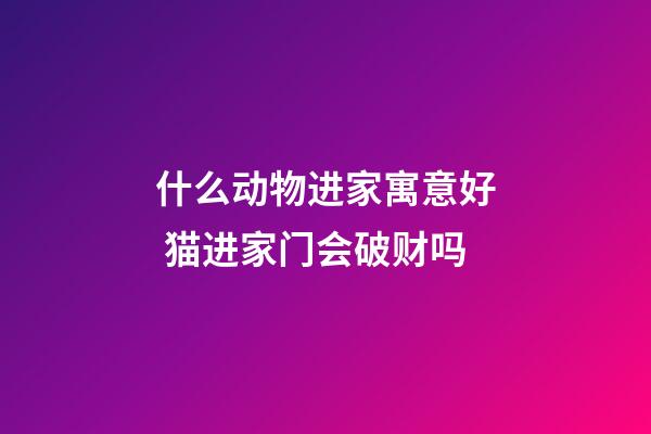 什么动物进家寓意好 猫进家门会破财吗